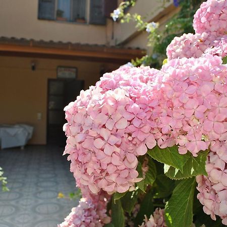 Hotel La Pineta Арбореа Екстериор снимка